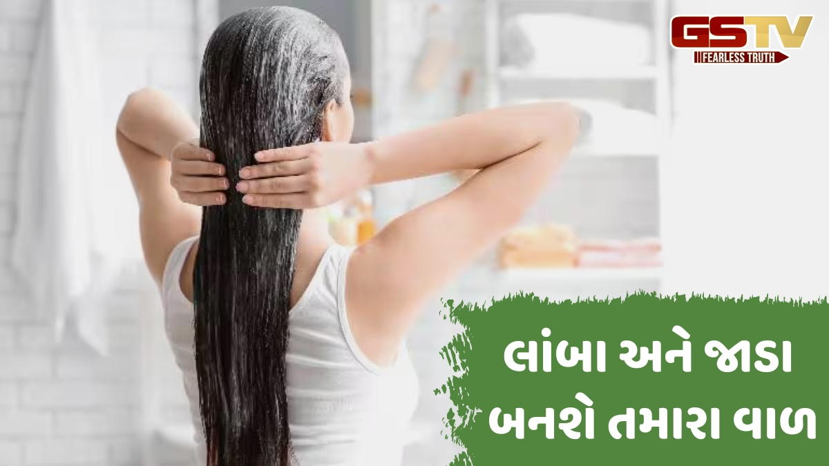 Hair Care Tips / વાળ માટે મેથીમાંથી બનવો ખાસ પેક, હેર ફોલ અટકાવવામાં થશે મદદરૂપ