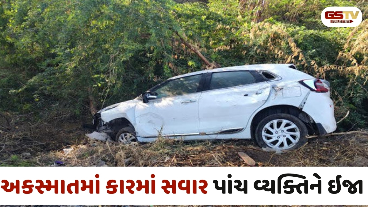Surendranagar news: ઝમર ગામ નજીક ચાલકે કાબૂ ગુમાવતા કારની વૃક્ષ સાથે ટક્કર