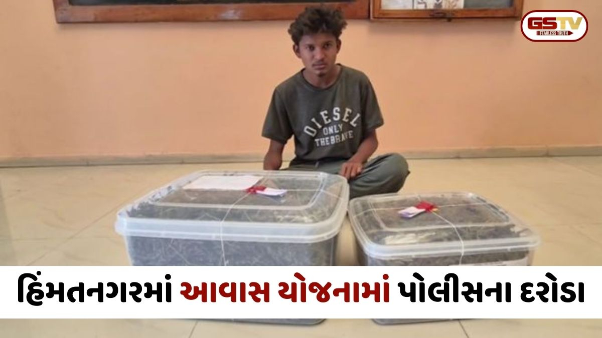 Sabarkantha: હિંમતનગરમાં આવાસ યોજનામાં પોલીસના દરોડા; લાખોની કિંમતનો ગાંજો ઝડપાયો, 1ની ધરપકડ