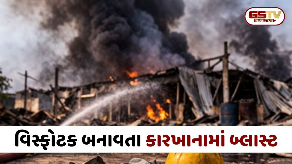 નાગપુરમાં વિસ્ફોટક બનાવતા કારખાનામાં બ્લાસ્ટ; 17થી વધારે શ્રમિકોના મોત, 18 ઈજાગ્રસ્ત