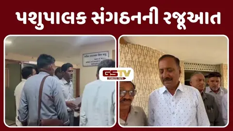 Video: સાબરકાંઠા-અરવલ્લીના પશુપાલકો નકલી દૂધ મુદ્દે આક્રમક મૂડમાં, યોગ્ય તપાસ નહી થાય તો ઉગ્ર આંદોલનની ચિમકી