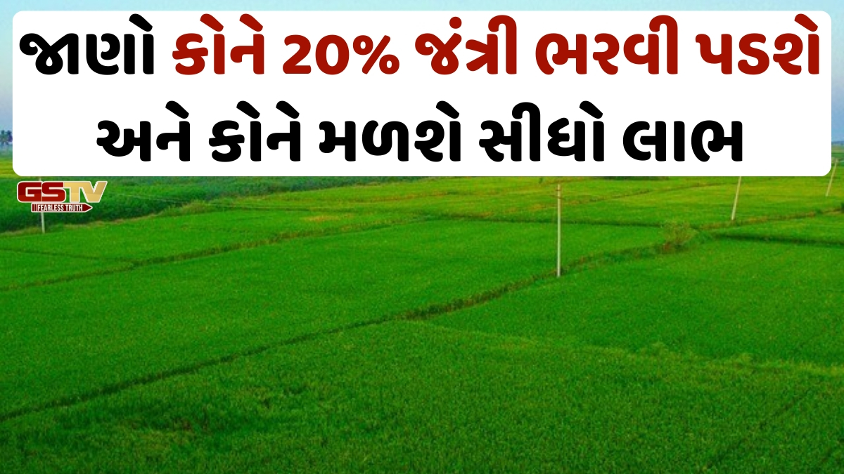 Business Plus: અલગ-અલગ ઈનામી સતાપ્રકારની જમીનોના બિનઅઘિકૃત કલમ હક્ક નિયમબધ્ધ કરવાની જોગવાઈઓ