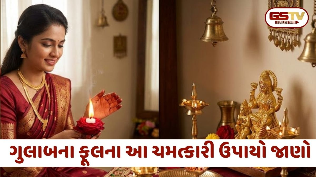 ગુલાબનો એક નાનકડો ઉપાય તમારી કિસ્મત બદલી શકે છે, જાણો આ ખાસ ઉપાય
