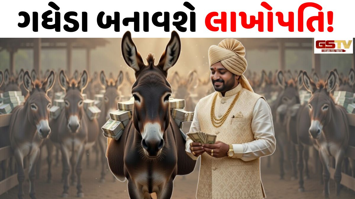 VIDEO: ગધેડા તમને બનાવી શકે છે લાખોપતિ, મળશે 50 લાખ રૂપિયાની સહાય!