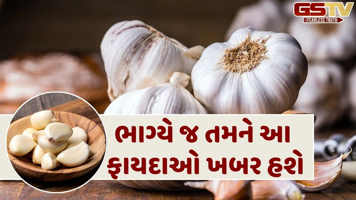 લસણને ખિસ્સામાં રાખવાથી બદલાઈ શકે છે તમારું નસીબ!