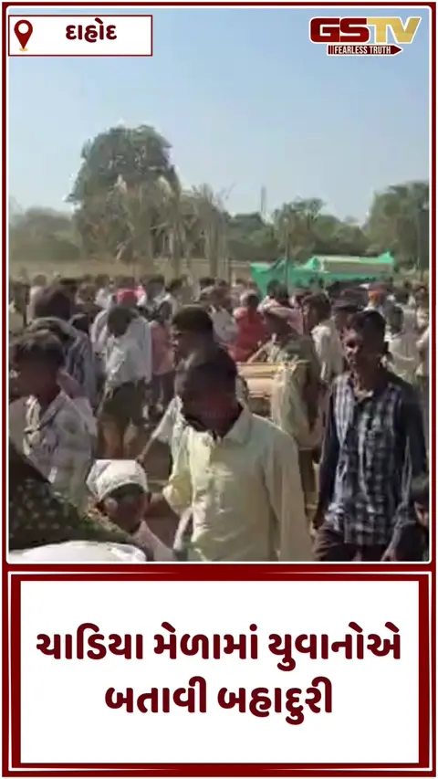 VIDEO: દાહોદના ધાનપુરમાં વર્ષો જૂની પરંપરા જીવંત, ભવ્ય ચાડિયાના મેળામાં હજારોની મેદની વચ્ચે યુવાનોએ જીતી ઈનામની પોટલી