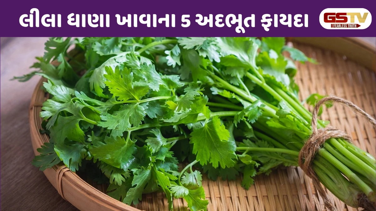 Health Tips: રસોઈની શાન અને સ્વાસ્થ્યનો ખજાનો: લીલા ધાણા ખાવાથી આ બીમારીઓ રહેશે દૂર