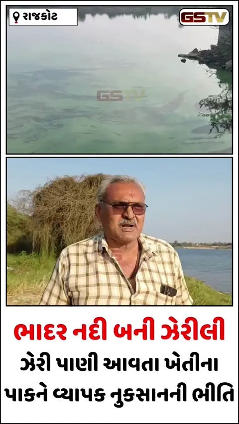 Video/ ધોરાજીની ભાદર નદીમાં ઝેરી પાણી આવતા વેગડી-તરવડાના ખેડૂતોમાં રોષ, પાક નિષ્ફળ જવાની ભીતિ