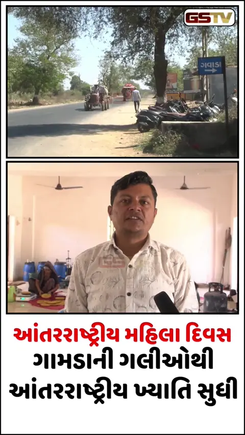 VIDEO: મહેસાણાની નારી શક્તિનો ડંકો: ગવાડા ગામની બહેનોએ ખાખરા-પાપડના ગૃહ ઉદ્યોગથી વર્ષે 8 લાખનો નફો કર્યો