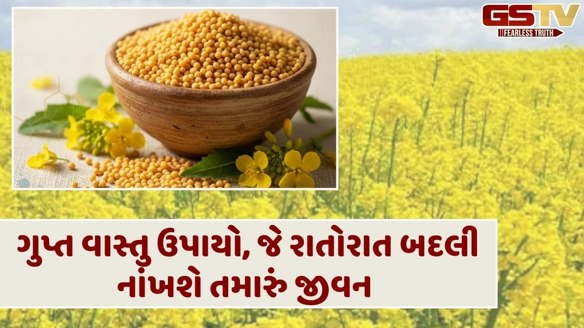 રસોડામાં પીળી સરસવમાં છુપાયેલો છે કુબેરનો ખજાનો