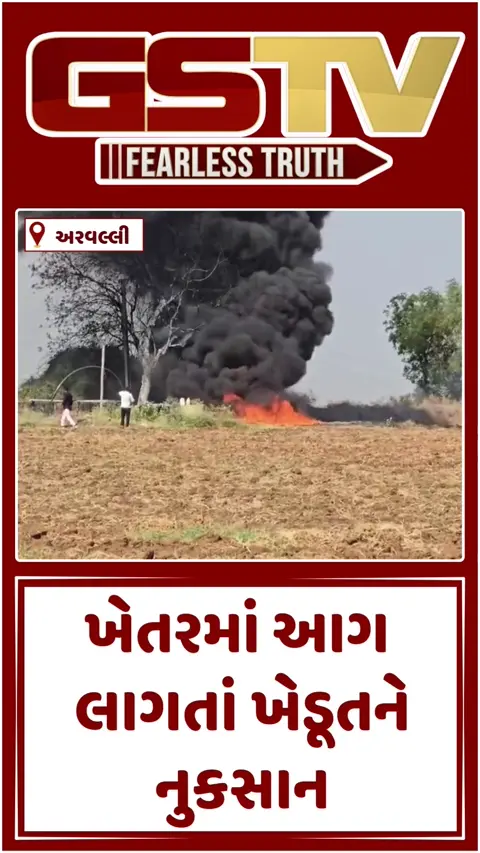 Video: ધનસુરામાં ખેતરમાં લાગી ભીષણ આગ, વીજ લાઈનના તાર તૂટતાં ઘટના બની હોવાનું અનુમાન