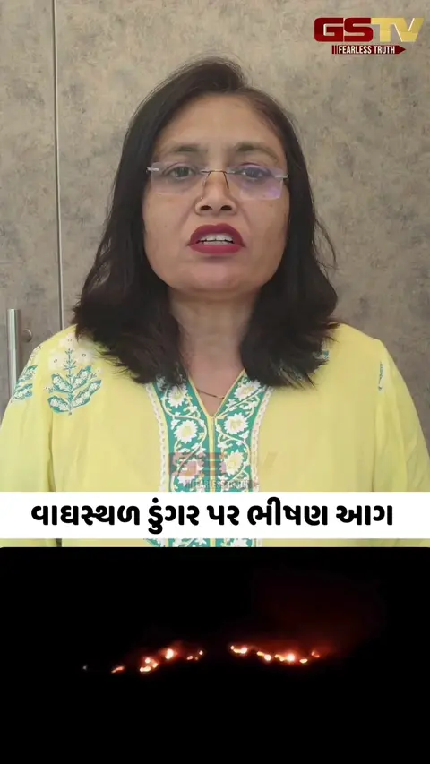 Video/ Chhota Udaipurના વાઘસ્થળ ડુંગર પર લાગેલી ભીષણ આગ હજુ પણ બેકાબૂ