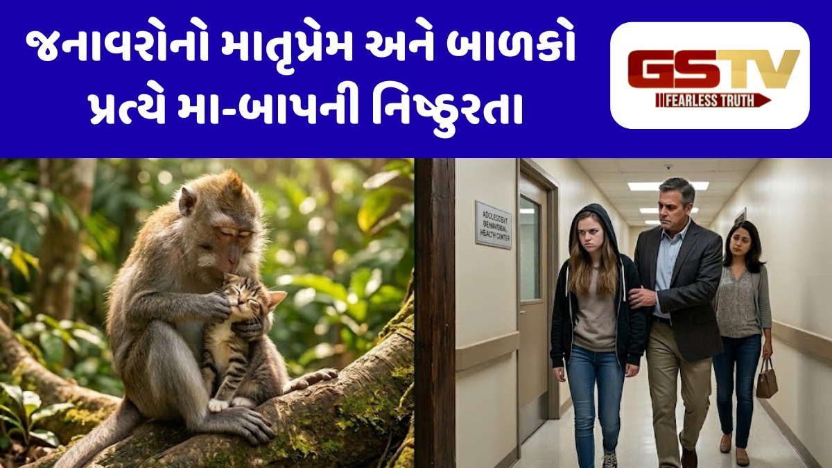 Shatdal : મા વિનાની વાંદરીનો બિલાડી પ્રત્યે પ્રેમ અને અમેરિકાના 'બગડેલા' બાળકો પ્રત્યે મા-બાપની નિષ્ઠુરતા