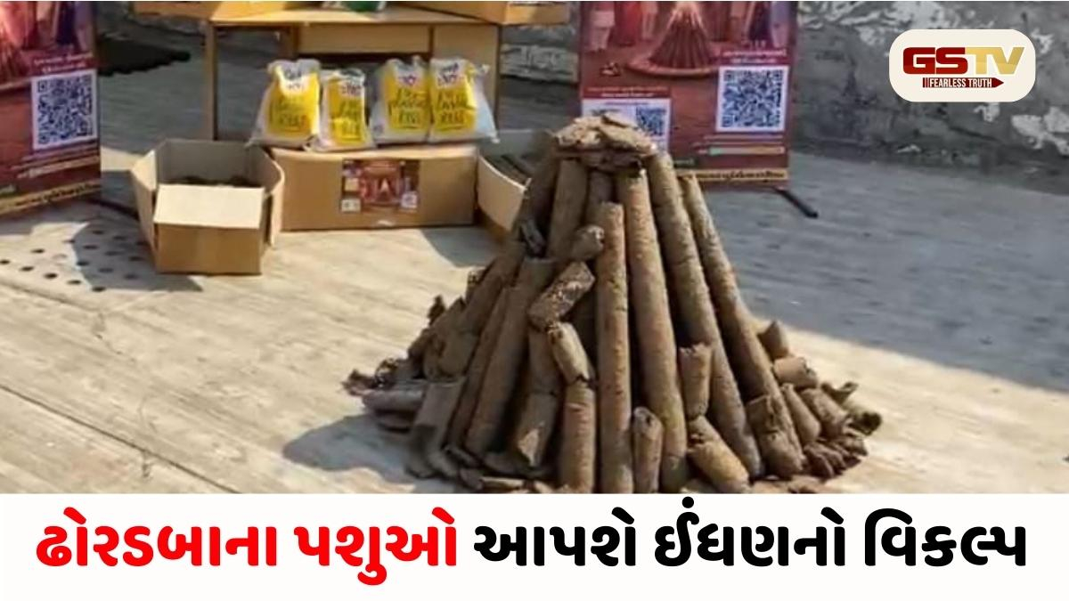 ઈંધણ વિકલ્પ: AMCનો મોટો નિર્ણય, પશુઓના છાણમાંથી બનાવેલી સ્ટીક અને છાણાંનું કરાશે વિતરણ