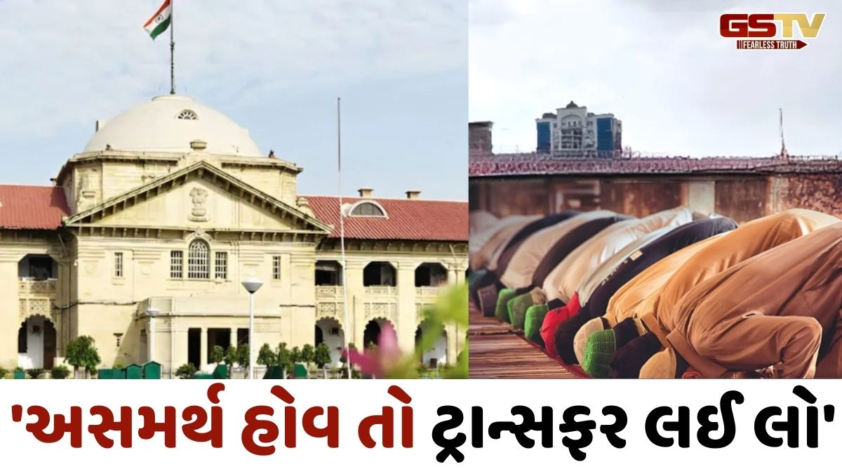 '...તો પછી જિલ્લા મેજીસ્ટ્રેટ -SPએ રાજીનામું આપી દેવું પડે': સંભલમાં નમાજ મુદ્દે હાઈકોર્ટની નારાજગી