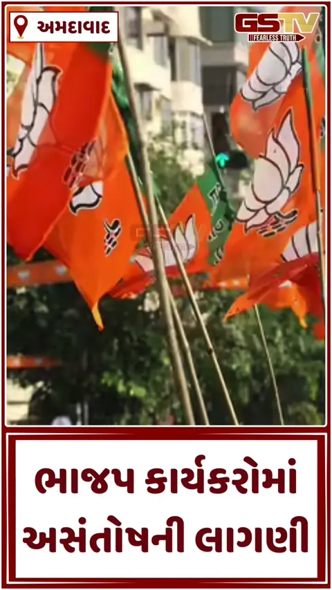 Video: 'અમરાઈવાડી વિધાનસભામાં હિટલરશાહી ચાલે છે', ભાજપ ધારાસભ્ય પક્ષના કાર્યક્રમોમાં હાજર ન રહેતા કાર્યકરોમાં રોષ