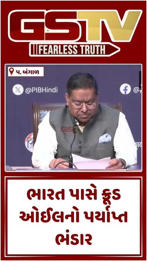 VIDEO : ઈરાની અખાતમાંથી LPG ભરેલા 22 ટેન્કર આવી રહ્યા છે ભારત  : વિદેશ મંત્રાલય