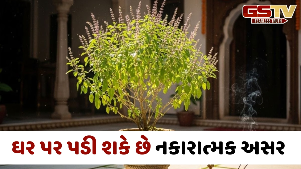 Religion: આ દિશામાં ન લગાવો તુલસીનો છોડ, નહીં તો તમારા ઘરમાં આવશે ગરીબી