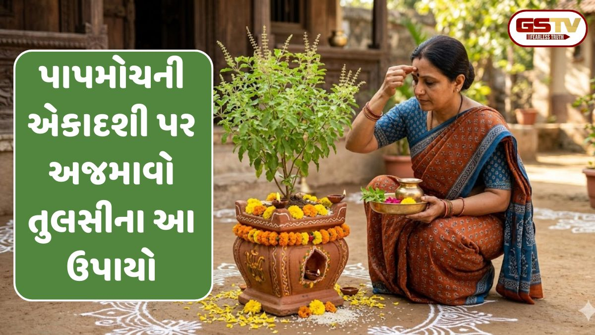 પાપમોચની એકાદશી પર અજમાવો તુલસીના આ ઉપાયો; આર્થિક મુશ્કેલીઓથી મળશે રાહત