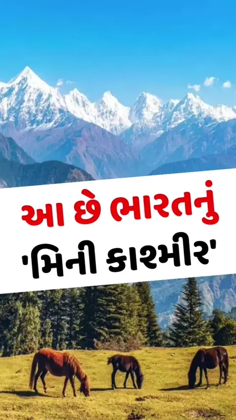 VIDEO: મુનસ્યારીને કહેવાય છે 'મિની કાશ્મીર', અહીં એક્સપ્લોર કરવા માટે છે ઘણા સુંદર સ્થળો
