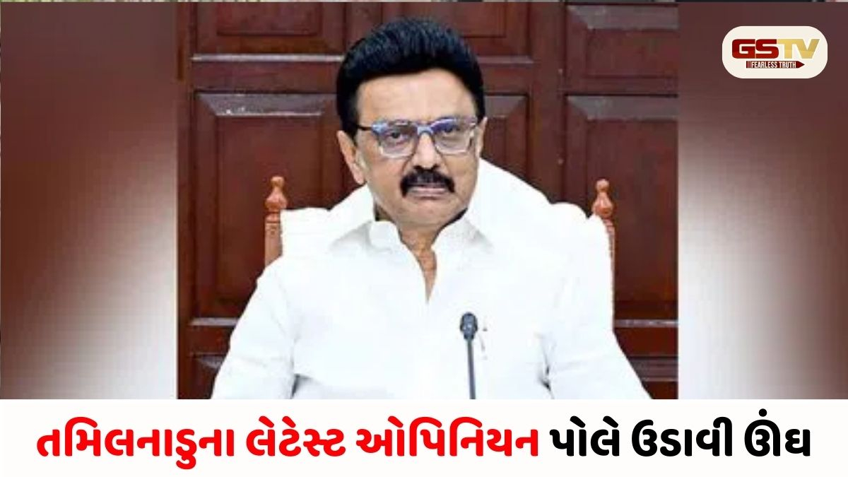 સ્ટાલિન vs NDA: ઓપિનિયન પોલના આંકડાએ રાજકીય ગરમાવો વધાર્યો, શું દક્ષિણમાં ખીલશે કમળ?