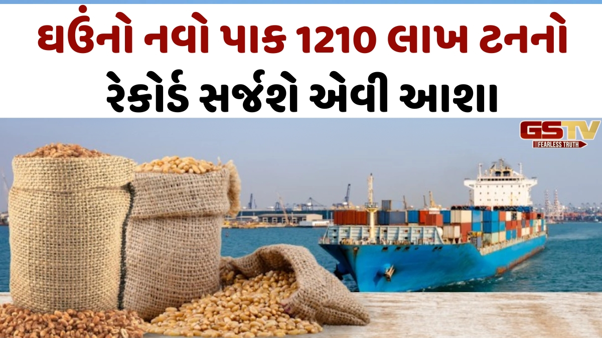 Business Plus: ભારતીય ઘઉંની નિકાસમાં પણ જોવા મળી 'વોર ઇફેક્ટ', સરકારની મંજૂરી છતાં શિપમેન્ટ અટવાયા