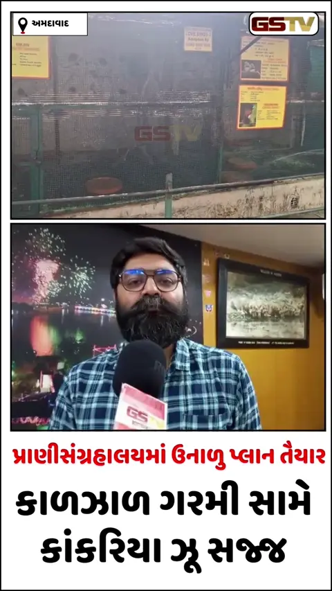 VIDEO: અમદાવાદના કાંકરિયા ઝૂના પ્રાણીઓને હવે નહીં લાગે ગરમી! સિંહ-વાઘ માટે કૂલર અને પક્ષીઓ માટે ગ્રીન નેટની ખાસ વ્યવસ્થા