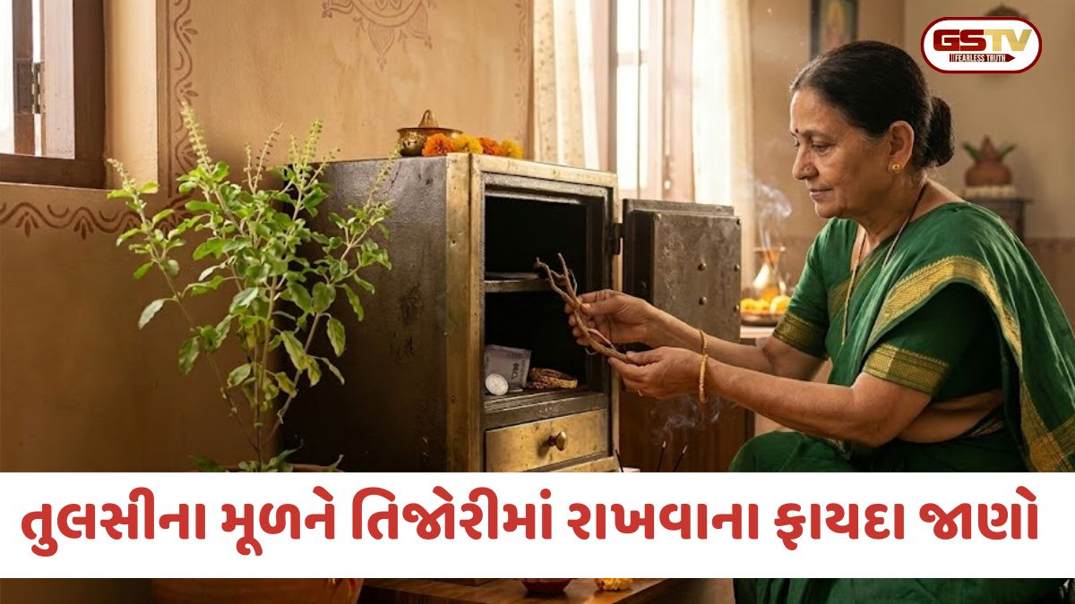 ઘરની તિજોરીમાં રાખો તુલસીનું નાનું મૂળ; દૂર થશે તમામ આર્થિક મુશ્કેલીઓ