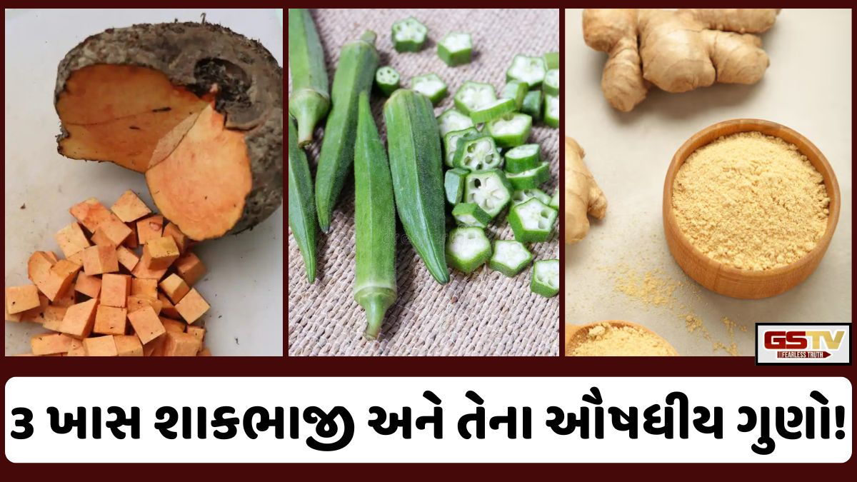 Sahiyar/ આરોગ્ય સંજીવની: વેજીટેબલ્સ અને તેનાં ઔષધીય ગુણો, જે ઔષધથી જરા પણ ઓછા નહીં!