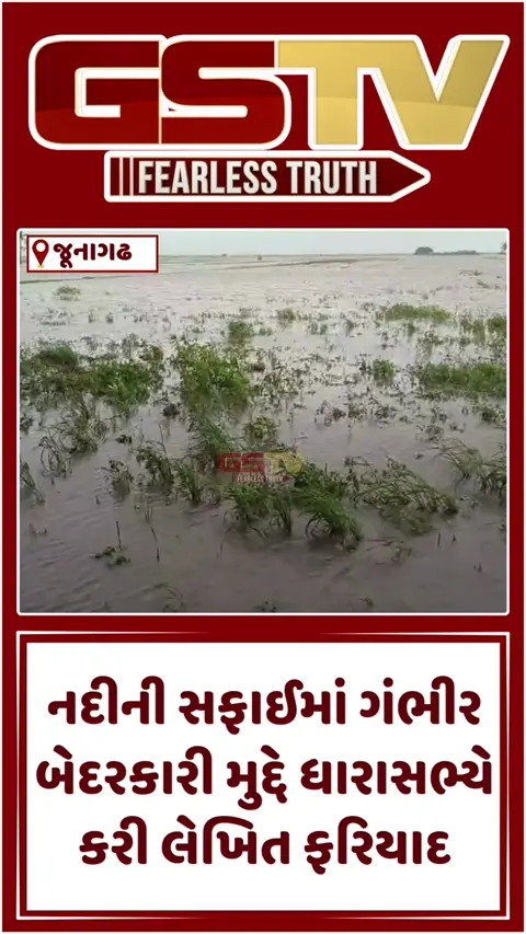 VIDEO: Junagadh / વિકાસના કામોમાં ગેરરીતિના આક્ષેપ; ધારાસભ્યએ જ જવાબદારો સામે કાર્યવાહીની કરી માંગ