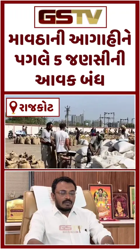 VIDEO: RAJKOT / માવઠાની આગાહીને પગલે ઘઉં-ચણા સહિતની 5 જણસની આવક બંધ