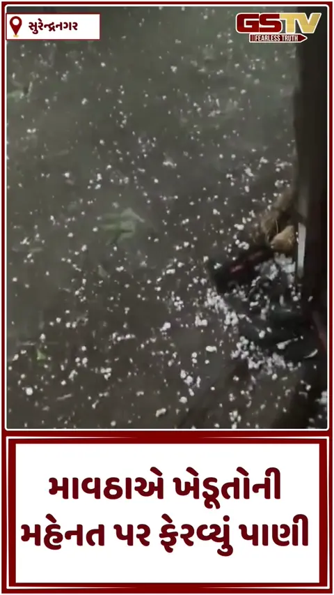 VIDEO: ઝાલાવાડમાં આકાશી આફત! ચોટીલા પંથકમાં કરા સાથે વરસાદ, વરિયાળી અને ચણાનો પાક બરબાદ