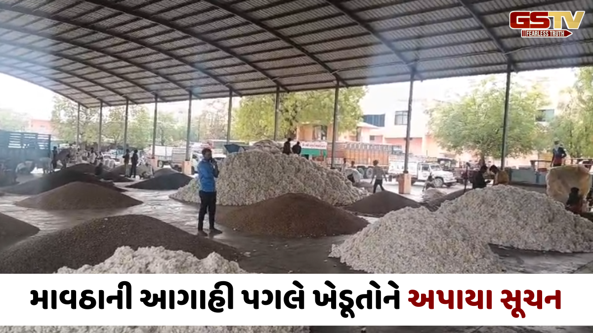 VIDEO: પાટણ જિલ્લામાં ભારે પવન ફૂંકાતા પાકને નુકસાનની ભીતિ, ખેડૂતોને જણસી સલામત સ્થળે રાખવા સૂચન