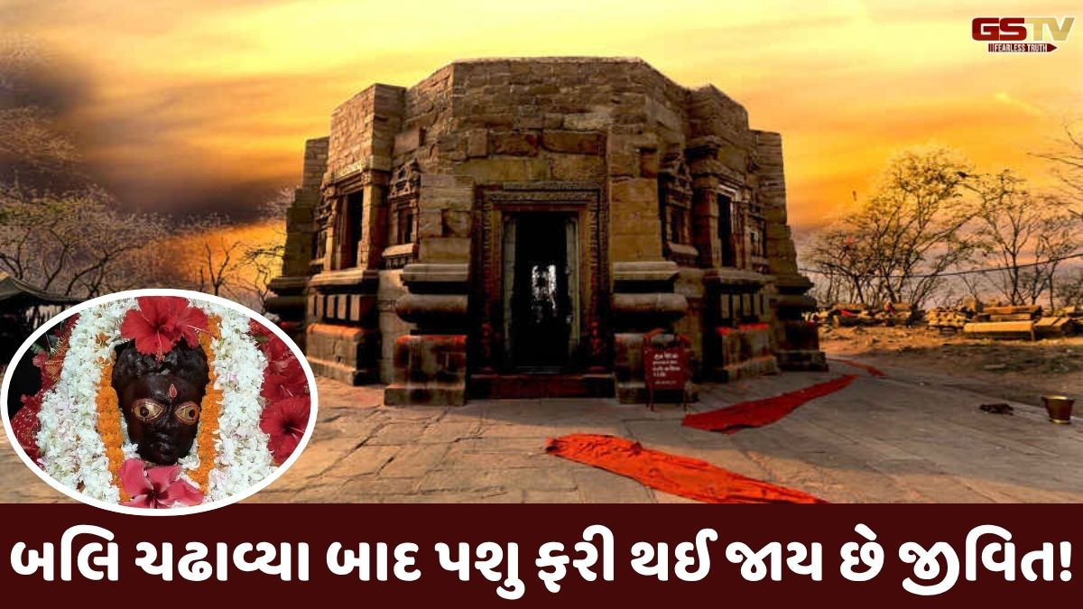 Religion: આ મંદિરમાં પશુની બલિ ચઢાવ્યા બાદ ફરી જીવિત થઈ જાય છે! જાણો આ ચમત્કારિક રહ્સ્ય વિશે