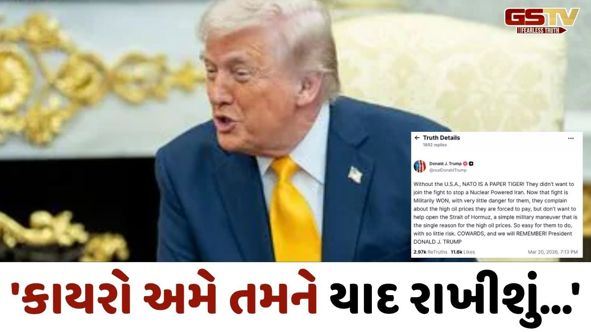 VIDEO : 'અમેરિકા વિના NATO કાગળો પરના વાઘ', ઓઇલના વધતા ભાવોને લઈને ભડક્યા ટ્રમ્પ