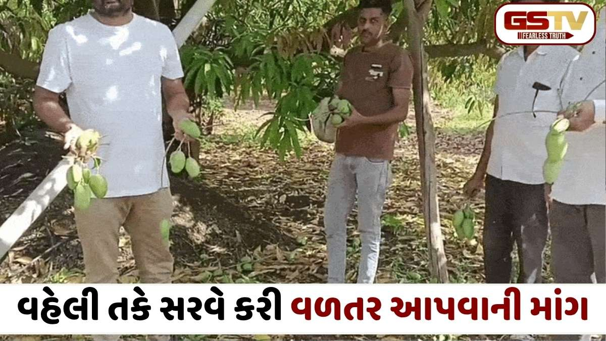Amreli news: સાવરકુંડલામાં મિનિ વાવાઝોડાનું તાંડવ, પપૈયા અને કેરીનો પાક નષ્ટ, ખેડૂતોના મોઢે આવેલો કોળિયો છીનવાયો