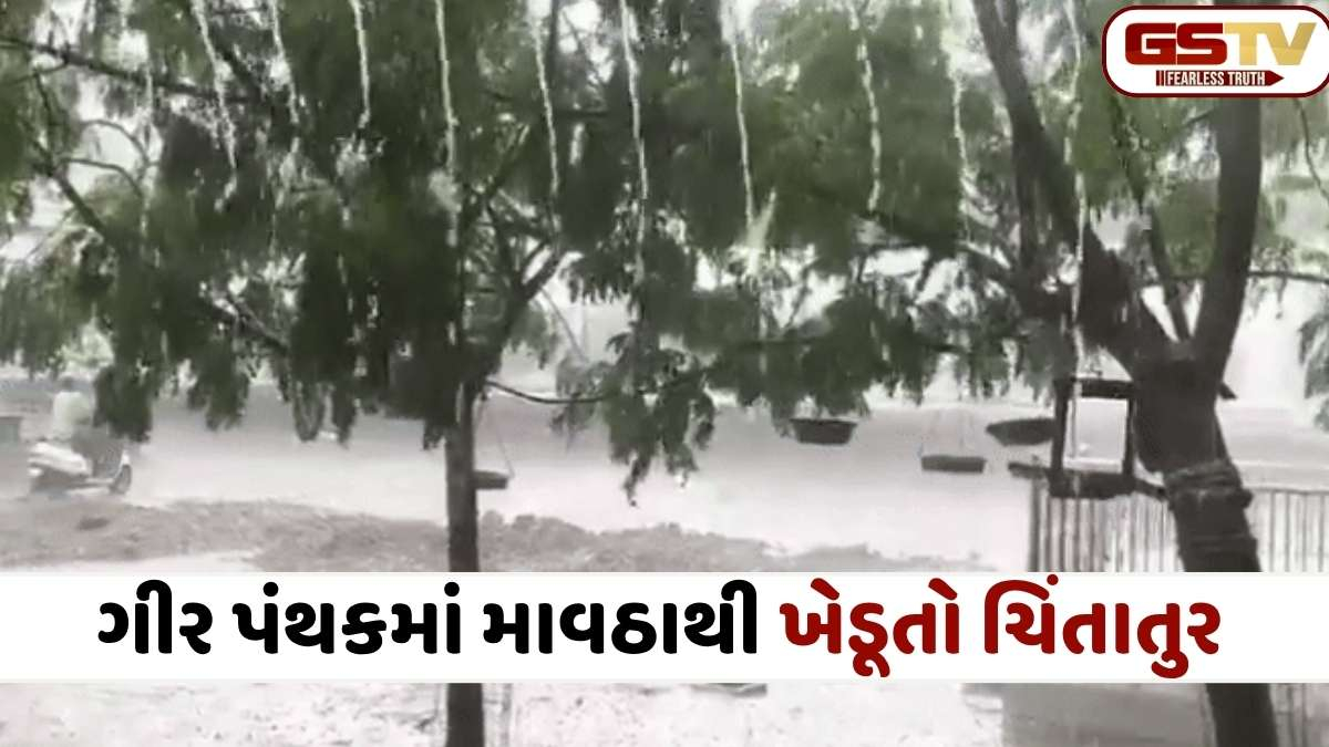 ભરઉનાળે ચોમાસું: ગીરમાં મેઘરાજાની ધમાકેદાર એન્ટ્રી, ઊના-તાલાલાના માર્ગો પર વહેતા થયા પાણી
