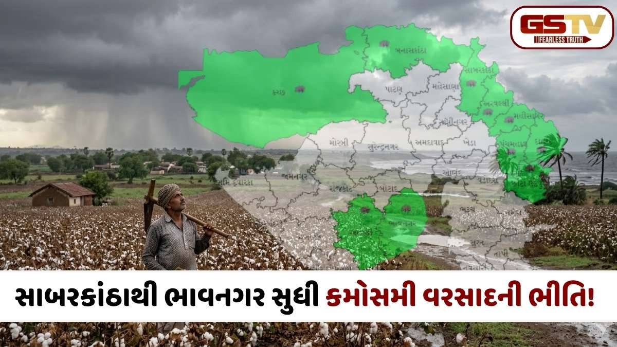 Gujarat Weather Update: ગુજરાતમાં વેસ્ટર્ન ડિસ્ટર્બન્સ સક્રિય, આગામી 24 કલાક માવઠાની આગાહી, જાણો કયા જિલ્લામાં પડશે વરસાદ