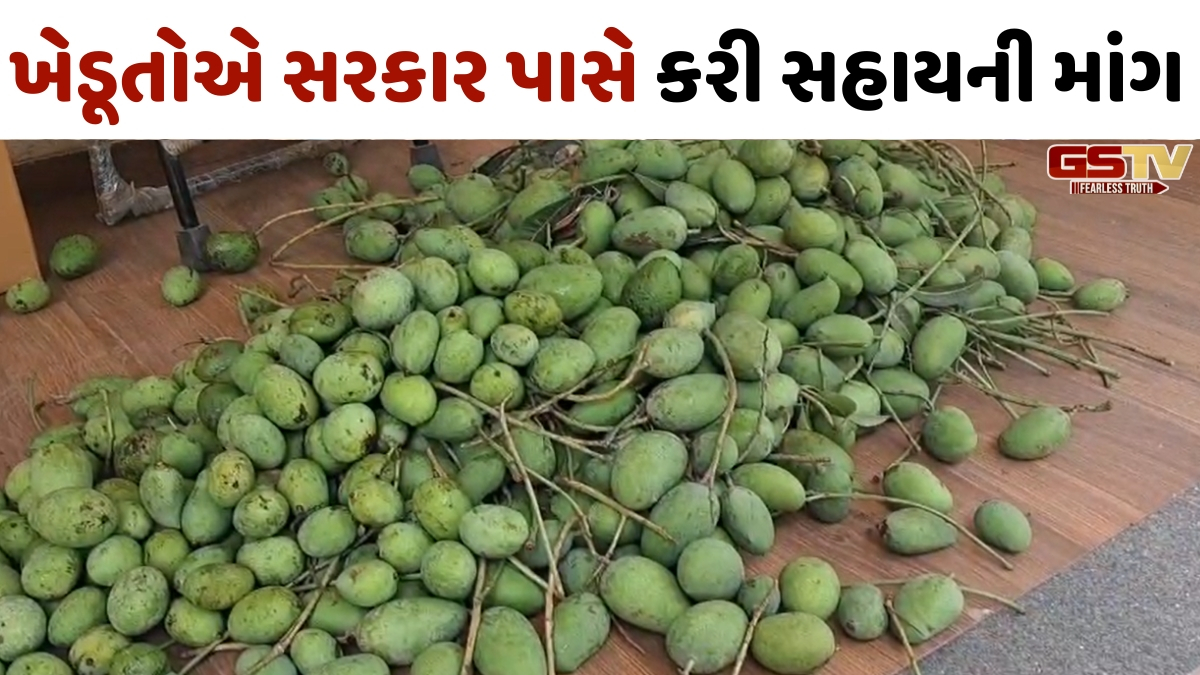 VIDEO: અંકલેશ્વરમાં મિની વાવાઝોડાએ આંબાવાડીઓમાં તબાહી મચાવી, કેરીના પાકનું નિકંદન નીકળ્યું !