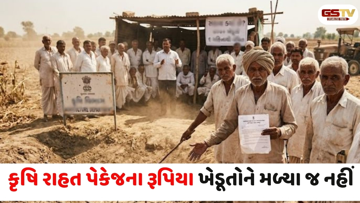 Gujarat news 700થી વધુ ખેડૂતો 6 મહિને પણ કૃષિ સહાયથી વંચિત, સહાય ચૂકવવામાં સરકારના ગલ્લાતલ્લા