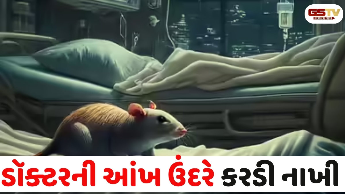 Ahmedabad news: સોલા સિવિલમાં ઉંદરે જૂનિયર ડૉક્ટરની આંખ કરડી ખાધી, તબીબી જગતમાં ખળભળાટ