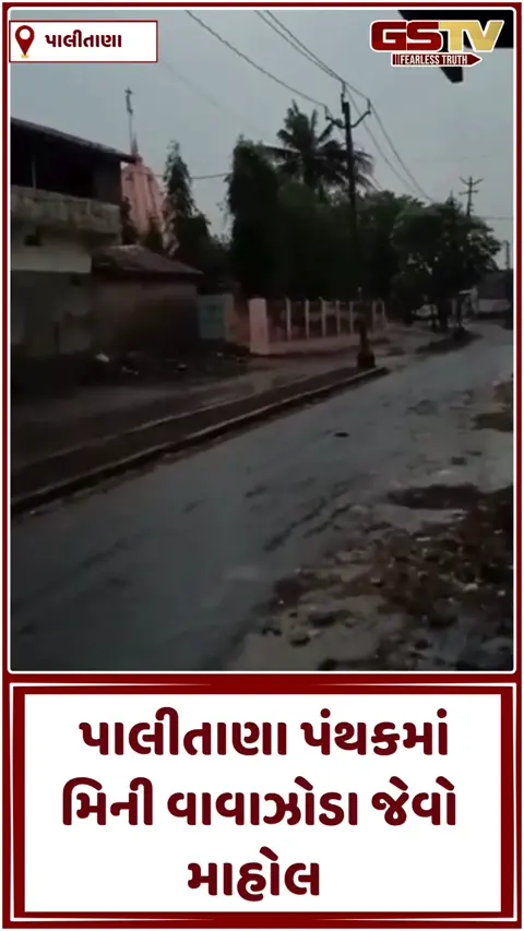 VIDEO: પાલીતાણામાં આકાશી આફત: તળેટી વિસ્તારમાં તોતિંગ વૃક્ષ ધરાશાયી થતા શ્રમિકનું કમકમાટીભર્યું મોત