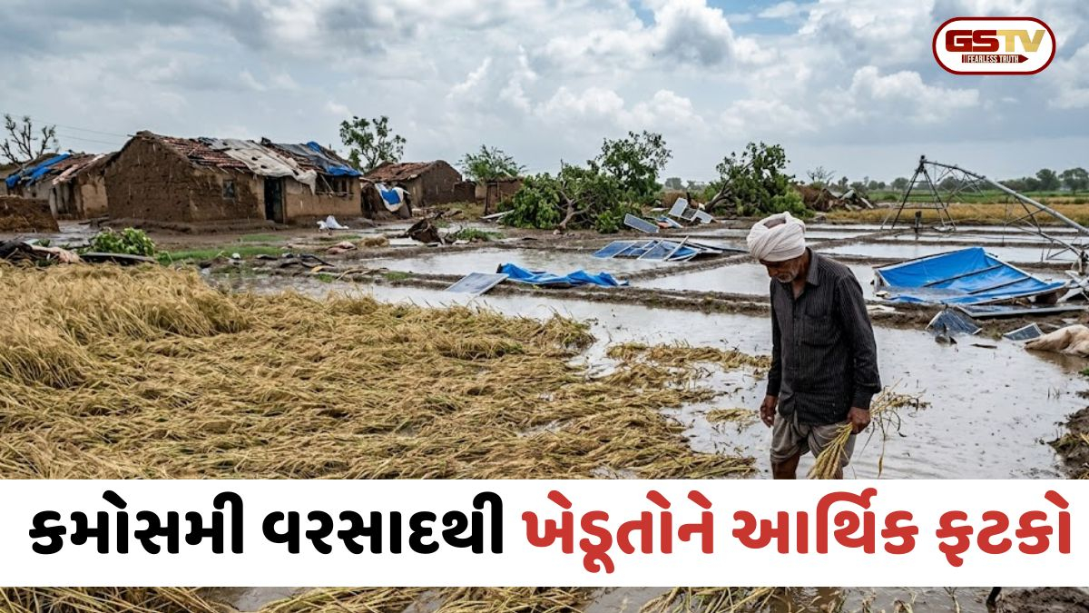 કમોસમી વરસાદથી ખેડૂતોને આર્થિક ફટકો: ઘઉં-ચણા સહિતના શિયાળુ પાકને નુકસાન, કેસર કેરીને પણ ખતરો