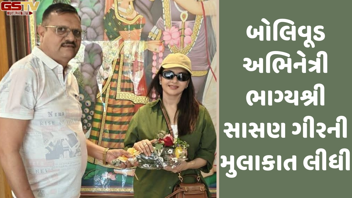 VIDEO: બોલિવૂડ અભિનેત્રી Bhagyashreeએ સાસણ ગીરમાં માણ્યો જંગલ સફારીનો આનંદ