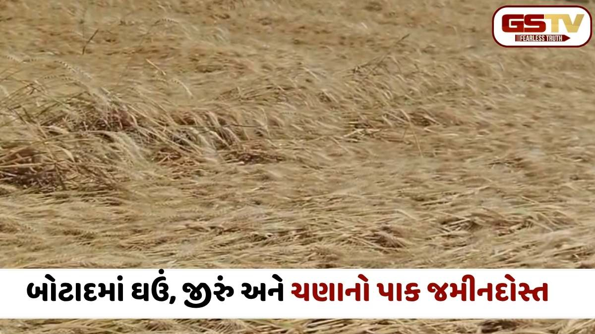 VIDEO: ચૂંટણી પર આફતનું વાદળ! બોટાદના ખેડૂત સંગઠનોની ચીમકી,''જો સહાય નહીં મળે તો, સ્થાનિક સ્વરાજ્યની ચૂંટણીમાં ભોગવવું પડશે પરિણામ''
