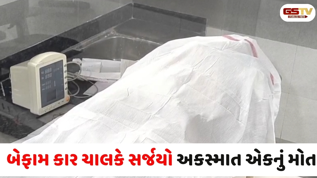 Surendranagar news: સુરેન્દ્રનગર ધ્રાંગધ્રા હાઇવે પર કાર ચાલકે સર્જયો અકસ્માત એકનું મોત અને 8 ઈજાગ્રસ્ત