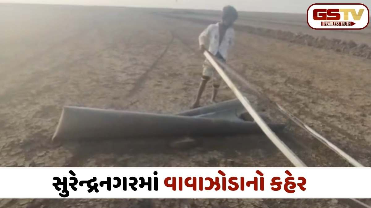 VIDEO: સુરેન્દ્રનગરના અગરિયાઓ પાયમાલ! મંત્રી દર્શના વાઘેલા સાથે અગરિયાઓ આવતીકાલે CMને રજૂઆત કરશે