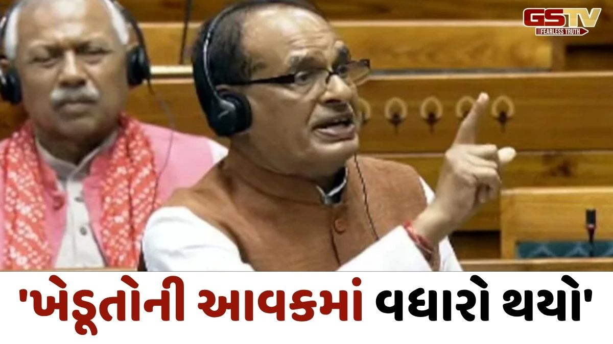 VIDEO : દેશમાં ખેડૂતોની આવક બમણી નહીં પરંતુ અનેકગણી વધી, લોકસભામાં કૃષિમંત્રીએ ગણાવી સફળતા
