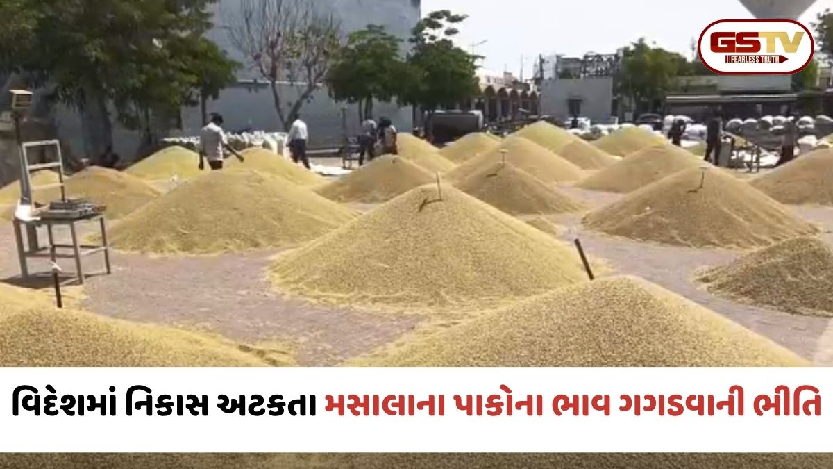 VIDEO: Mehsana / ઈરાન-ઈઝરાયલ યુદ્ધની ઊંઝા માર્કેટયાર્ડ પર માઠી અસર;  મસાલાના પાકોની નિકાસ ઠપ્પ થતા ખેડૂતો અને વેપારીઓ ચિંતામાં