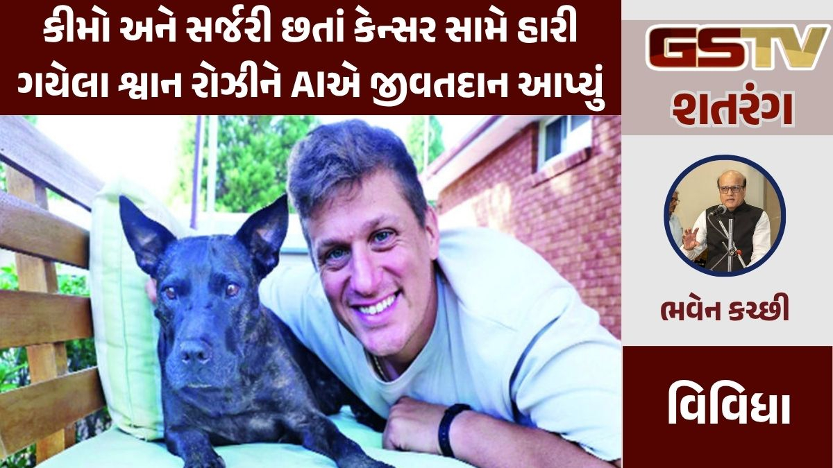 GSTV શતરંગ: કીમો અને સર્જરી છતાં કેન્સર સામે હારી ગયેલા શ્વાન રોઝીને AIએ જીવતદાન આપ્યું